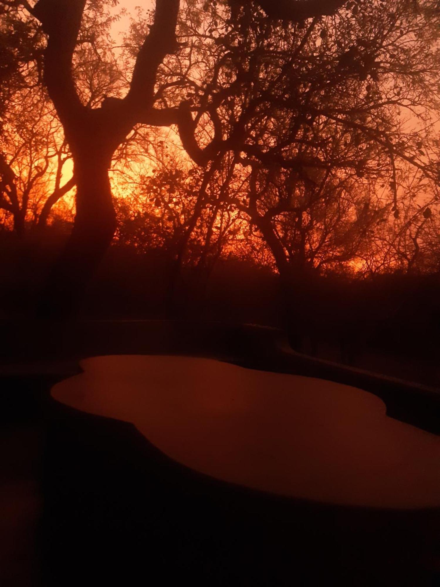 African Bush Escape Marloth Park Exterior foto