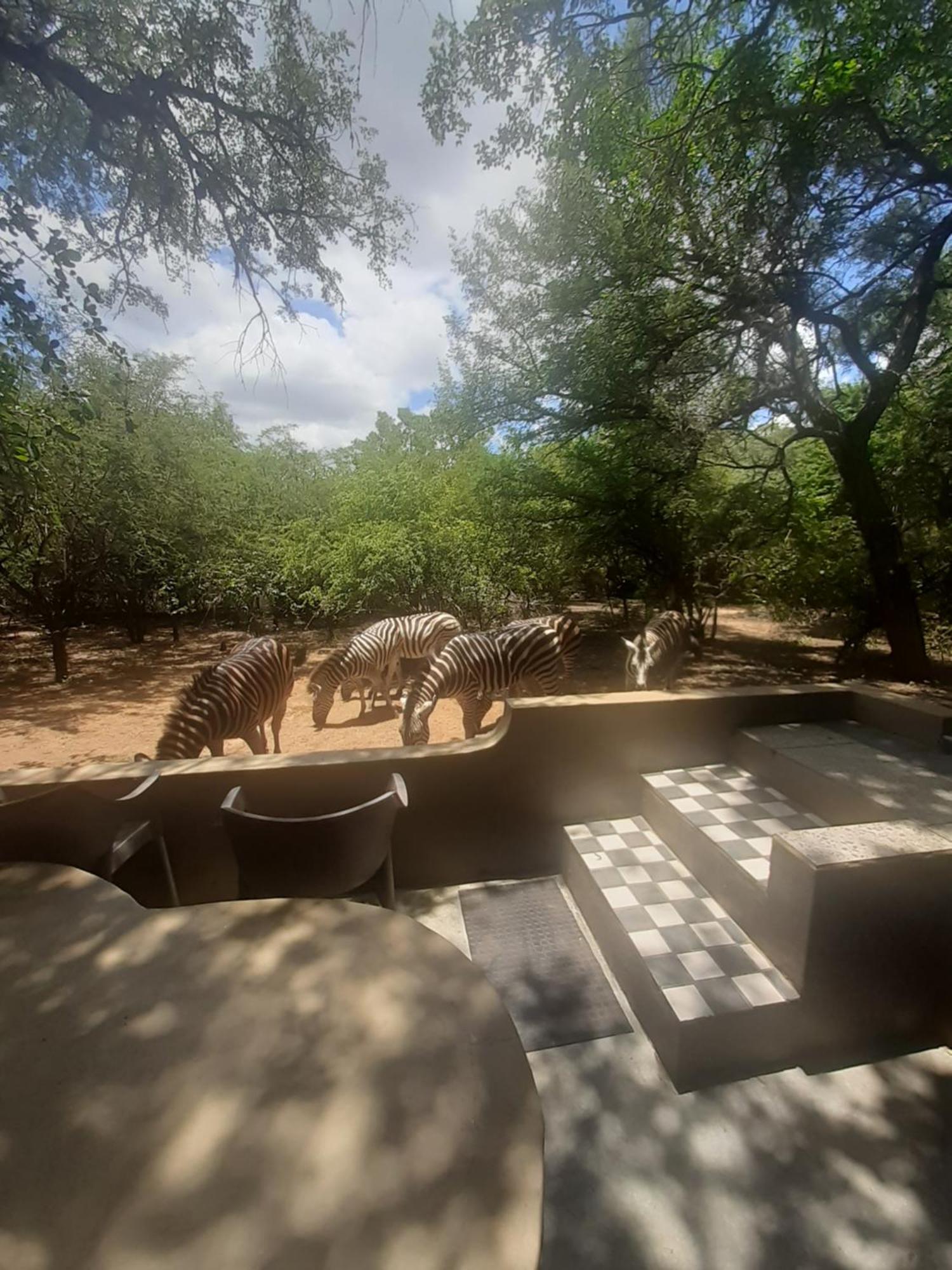 African Bush Escape Marloth Park Exterior foto